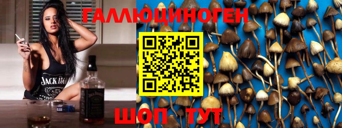Галлюциногенные грибы мухоморы  Галлюциногенные грибы прущие грибы  Ангарск  Вход с VPN 